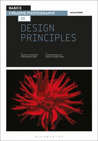 Basics Creative Photography 01: Design Principles (Paperback)