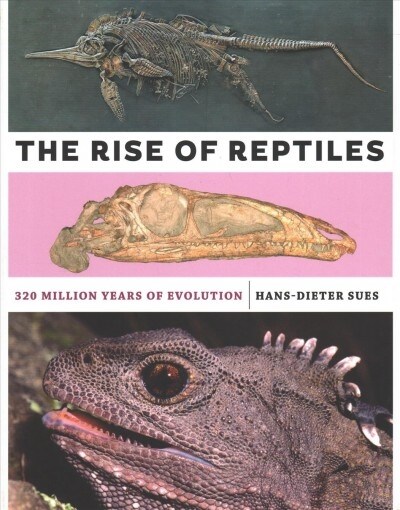 The Rise of Reptiles: 320 Million Years of Evolution (Hardcover)