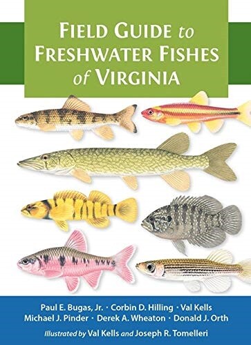 Field Guide to Freshwater Fishes of Virginia (Paperback)