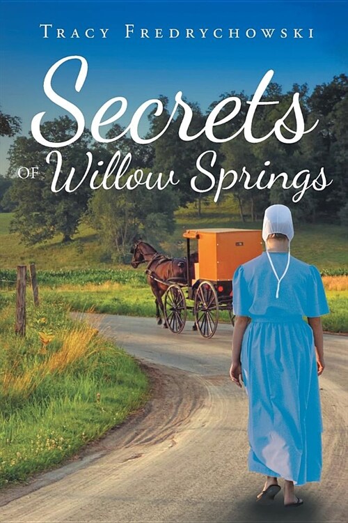 Secrets of Willow Springs: Book 1 (Paperback)