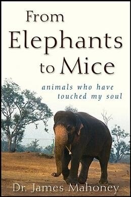 From Elephants to Mice: Animals Who Have Touched My Soul (Paperback)