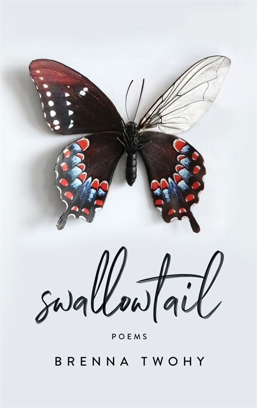 Swallowtail (Paperback)