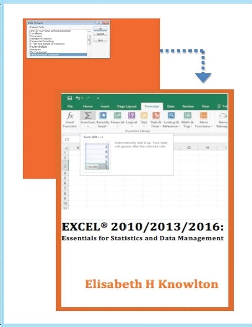 Excel 2010/2013/2016: Essentials for Statistics and Data Management (Paperback)