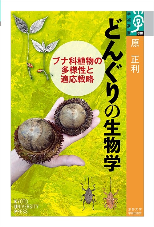 どんぐりの生物學