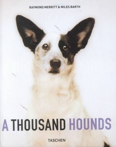 A Thousand Hounds (Paperback)