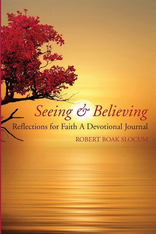 Seeing & Believing (Paperback)