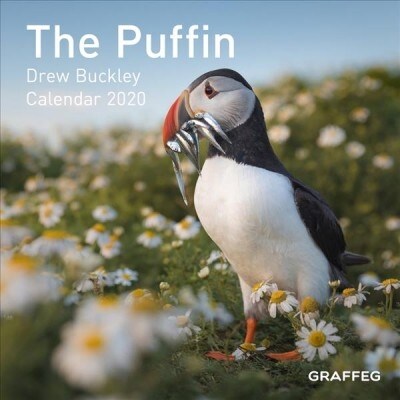 The Puffin Calendar (Calendar)