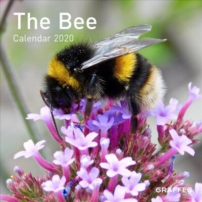 The Bee Calendar (Calendar)