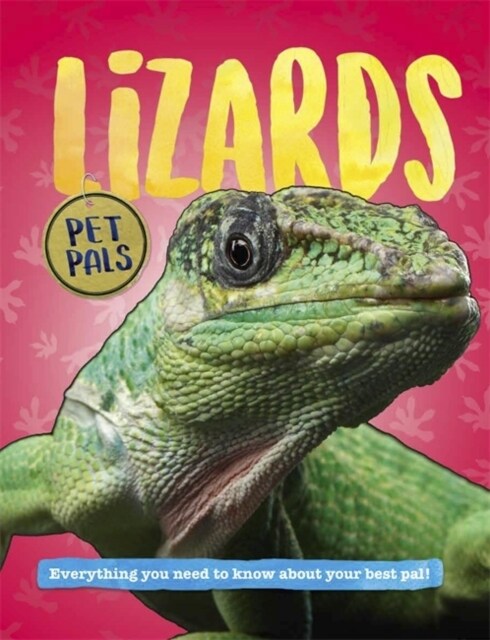 Pet Pals: Lizards (Paperback)