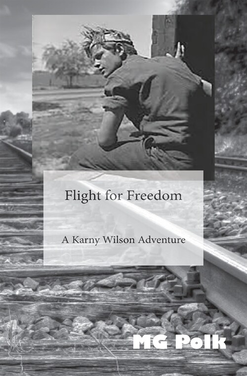 Flight for Freedom: A Karny Wilson Adventure (Paperback)