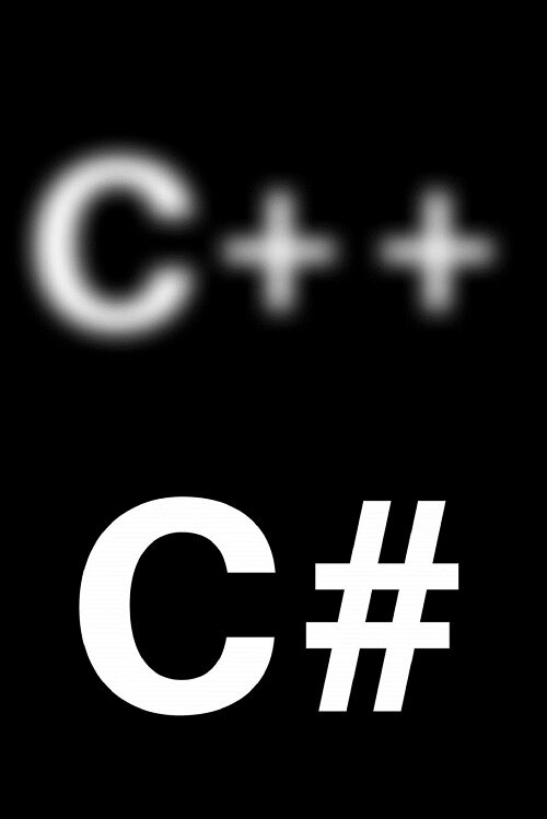 C++ C #: Blank Lined Funny Notebook for Programmers (Paperback)