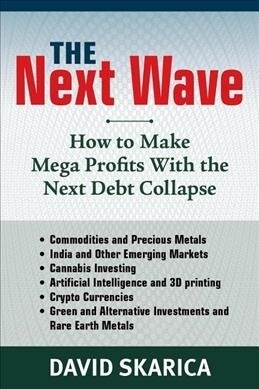 The Next Wave: How to Make Mega Profits with the Next Debt Collapse (Hardcover)