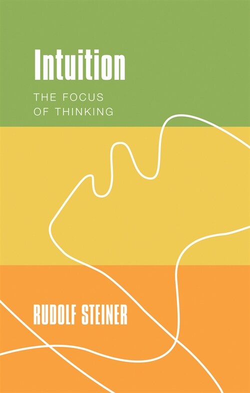 Intuition : The Focus of Thinking (Paperback)