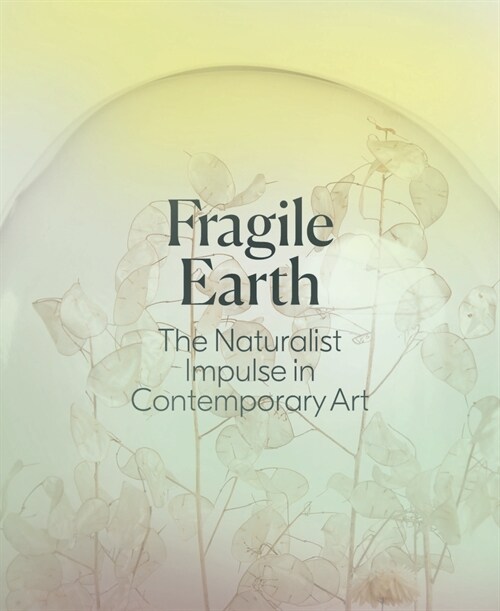 Fragile Earth: The Naturalist Impulse in Contemporary Art (Paperback)