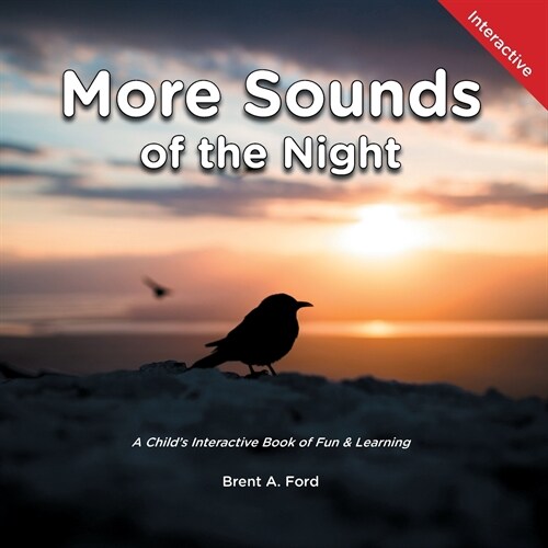 More Sounds of the Night: A Childs Interactive Book of Fun & Learning (Paperback)