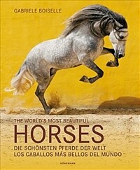 The Worlds Most Beautiful Horses (Hardcover)