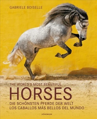 The Worlds Most Beautiful Horses (Hardcover)