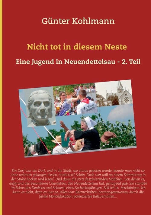 Nicht tot in diesem Neste. Zweiter Teil: Eine Jugend in Neuendettelsau (Paperback)