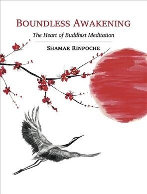 Boundless Awakening: The Heart of Buddhist Meditation (Paperback)