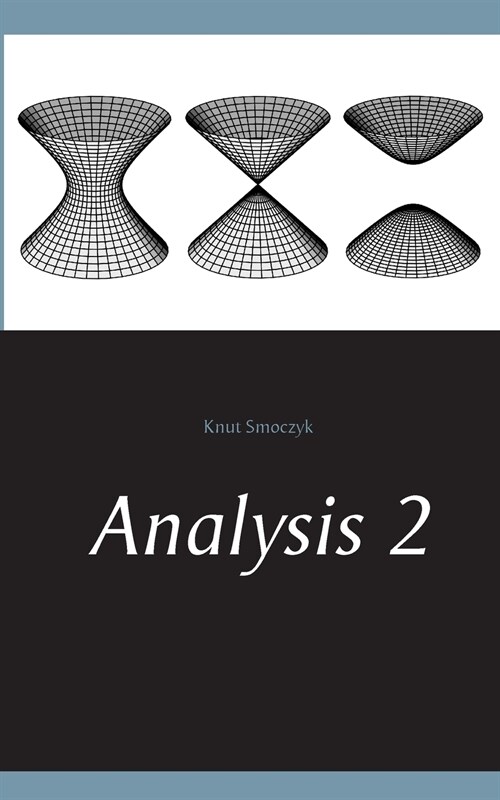 Analysis 2 (Paperback)
