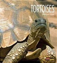Tortoises (Paperback)