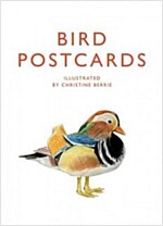 Bird Postcards (Paperback)