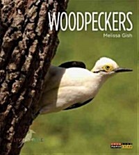 Woodpeckers (Paperback)