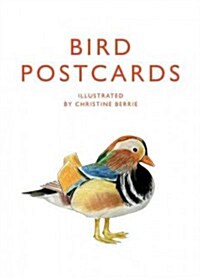 Bird Postcards (Paperback)