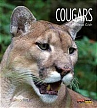Cougars (Paperback, 1st)