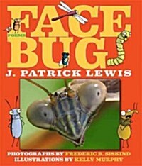 Face Bug (Hardcover)