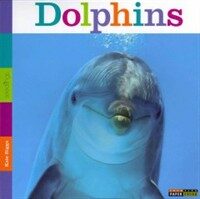 Seedlings: Dolphins (Paperback)