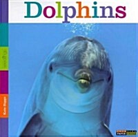 Seedlings: Dolphins (Paperback)