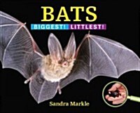 Bats: Biggest! Littlest! (Hardcover)
