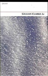 Ice (Paperback)