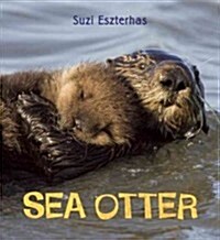 Eye on the Wild: Sea Otter (Hardcover)