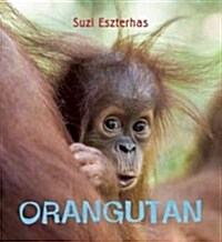 Eye on the Wild: Orangutan (Hardcover)