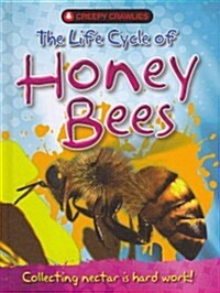 The Life Cycle of Honey Bees (Library Binding)