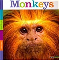 Seedlings: Monkeys (Paperback)