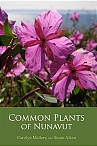 Common Plants of Nunavut (Paperback)