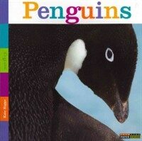 Seedlings: Penguins (Paperback)