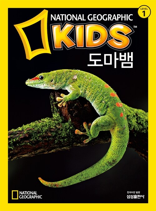 [중고] 내셔널 지오그래픽 키즈 4 : 도마뱀