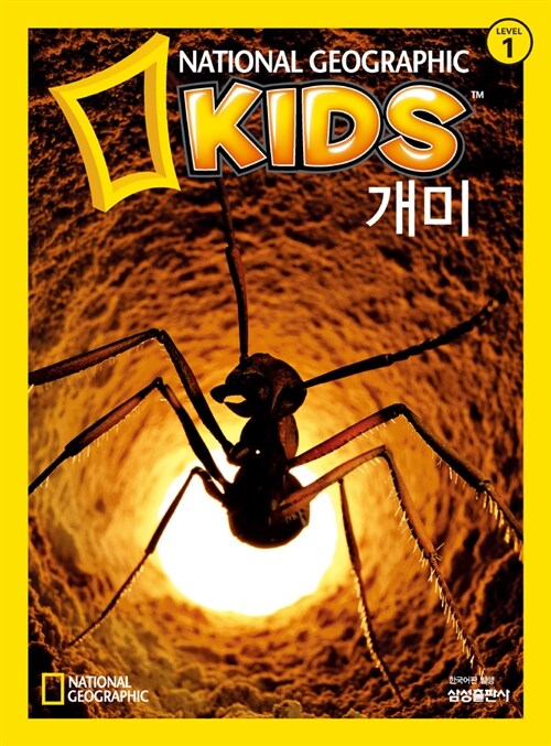 [중고] 내셔널 지오그래픽 키즈 3 : 개미