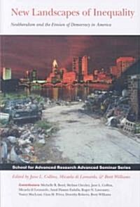 New Landscapes of Inequality: Neoliberalism and the Erosion of Democracy in America (Paperback)