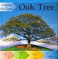 Oak Tree (Library Binding)