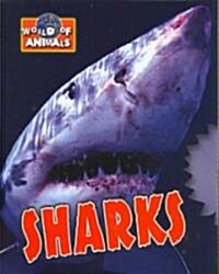 Sharks (Library Binding)