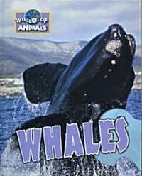 Whales (Library Binding)