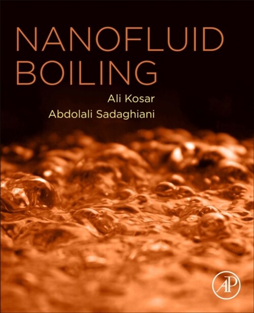 Nanofluid Boiling (Paperback)
