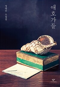 애호가들 : 정영수 소설집 표지이미지