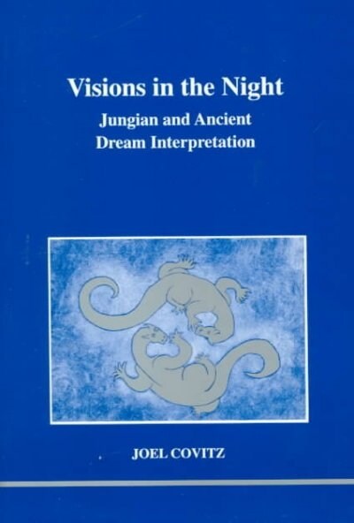Visions in the Night (Paperback, 2nd)