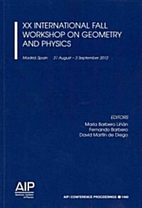 XX International Fall Workshop on Geometry and Physics (Paperback)